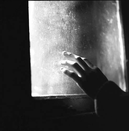 495 Days & 1&nbsp;Night