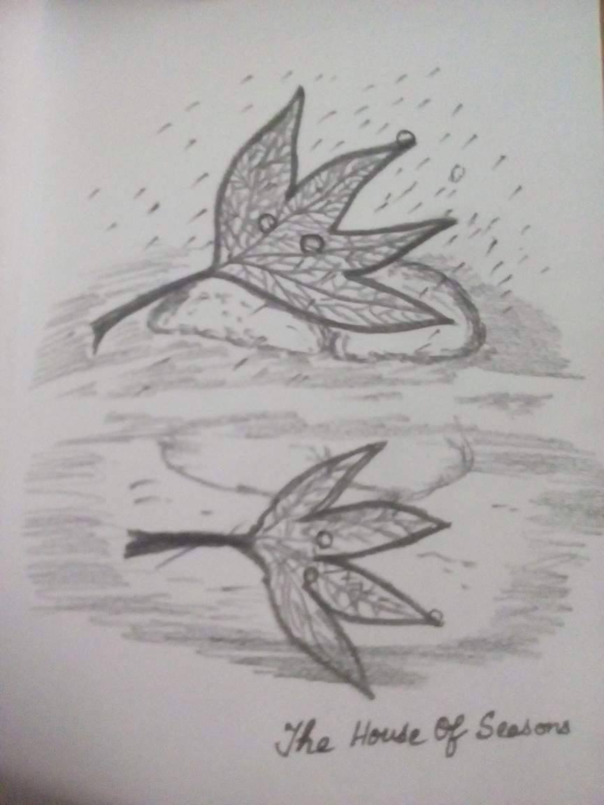 21875992_133183817319303_529427299_o