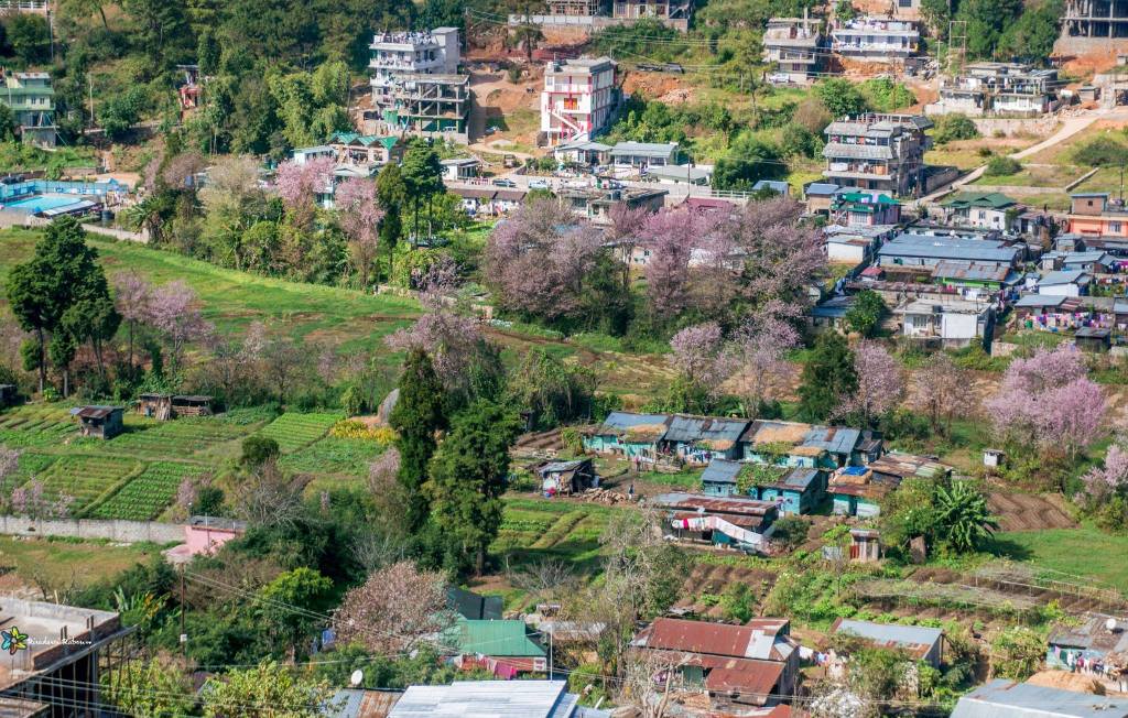 Homestays of India – A Startup Empowering Homestay&nbsp;Owners￼