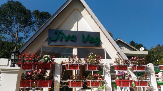 beautiful-floral-decor