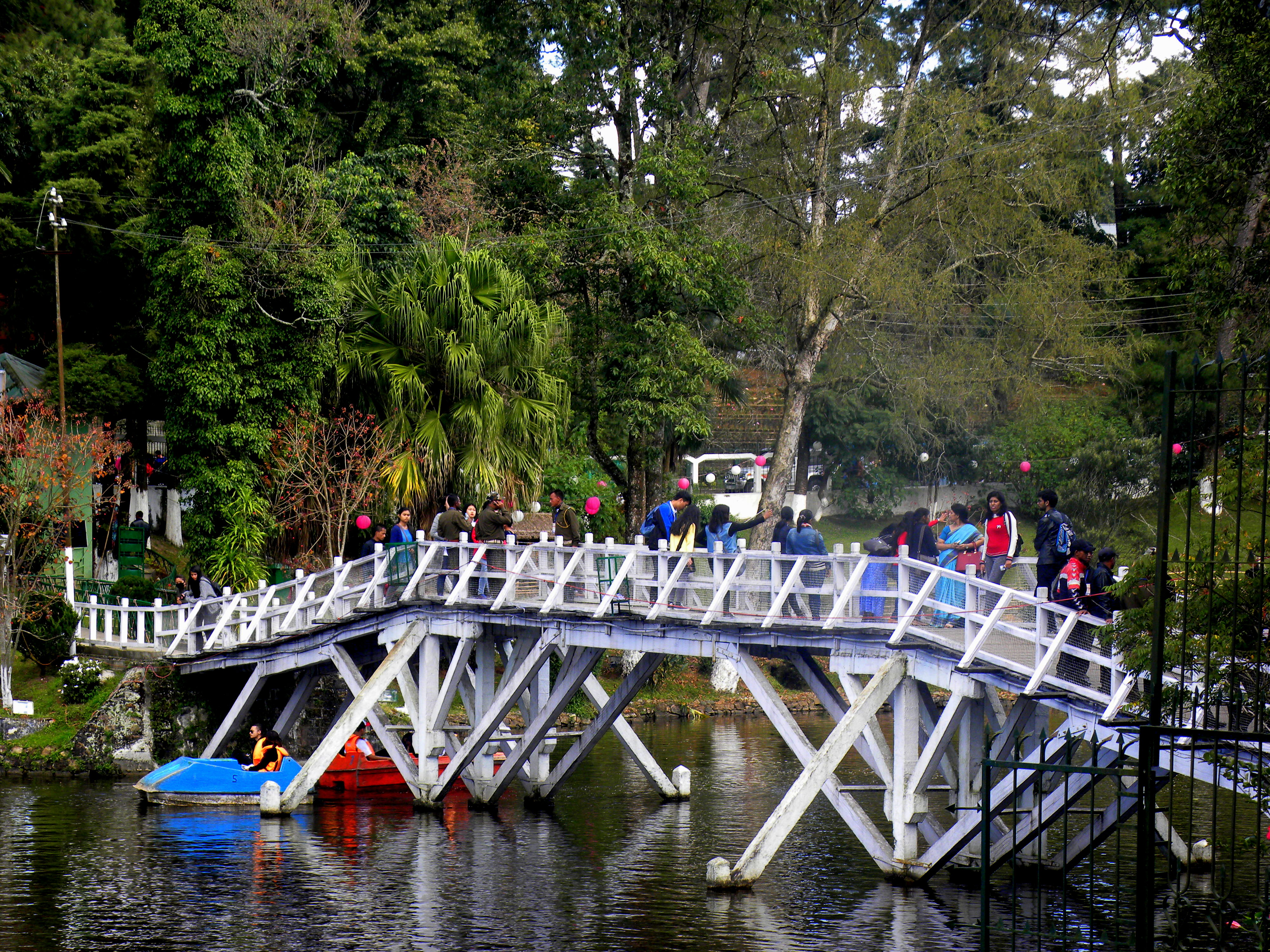 The Shillong Autumn Cherry Blossom Festival – A Fortune Teller’s Land