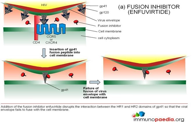 fusion inhibitors