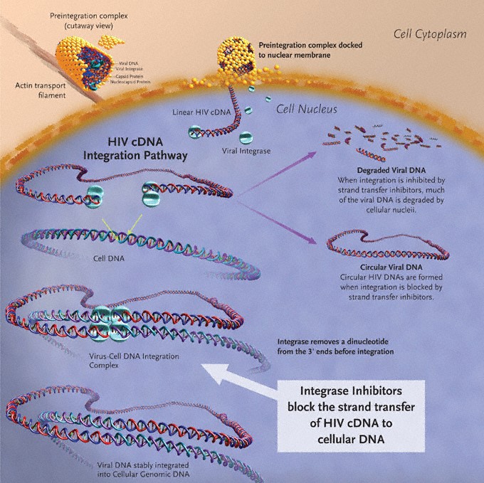 integrase inhibitors