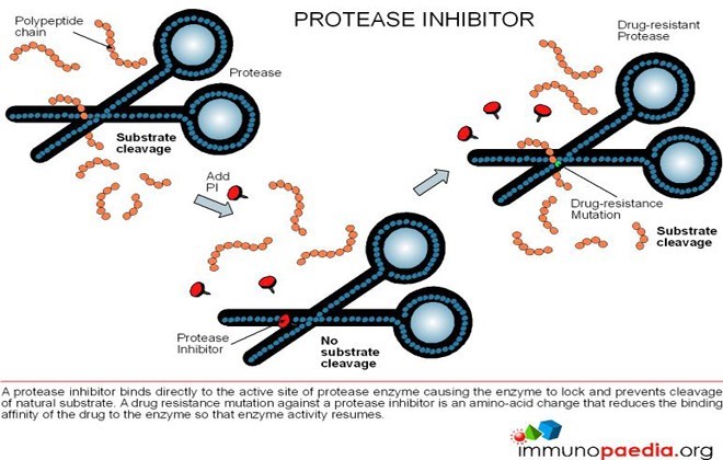 protease inhibitor