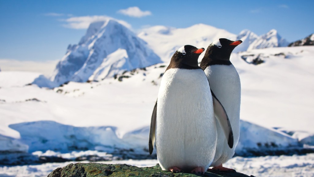 Why take a trip to Antarctica?