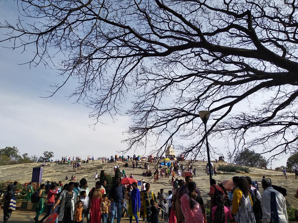 50276800_2455552254472110_665700620707037184_n