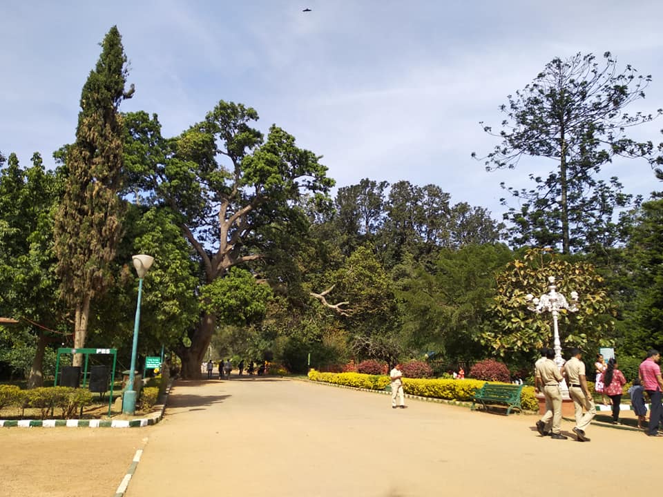 50304703_2455625407798128_4467409421185581056_n