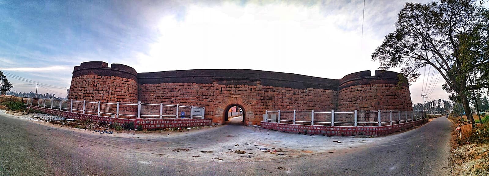 50314507_2455032307857438_275827966594777088_o