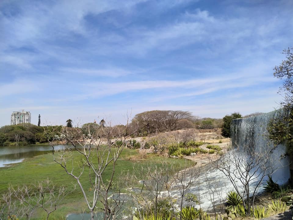 50477994_10213139161263863_7221009170508546048_n