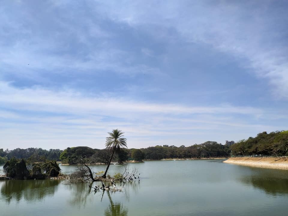 50496065_10213139161663873_2003962282102489088_n