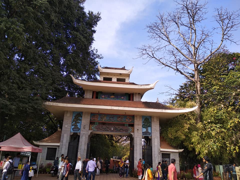 50502187_2455552337805435_4539910376107540480_n