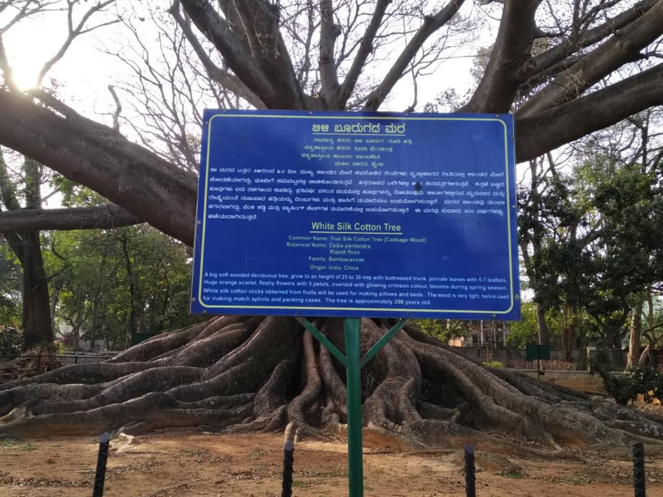 50510642_2455622581131744_7391479111136313344_n