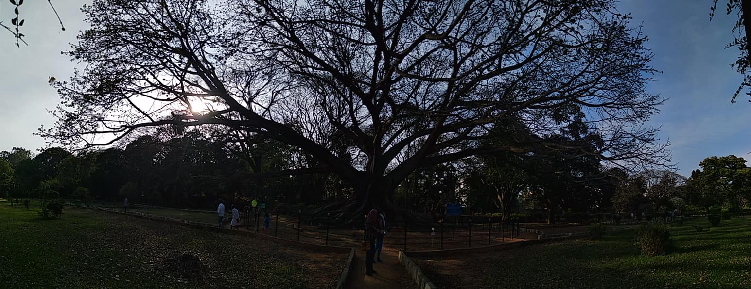 50546857_2455622667798402_8511502845588013056_o