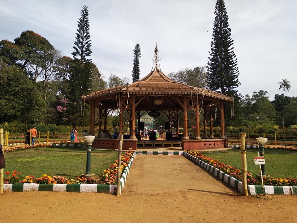 50647988_2455625454464790_5824417824554090496_n