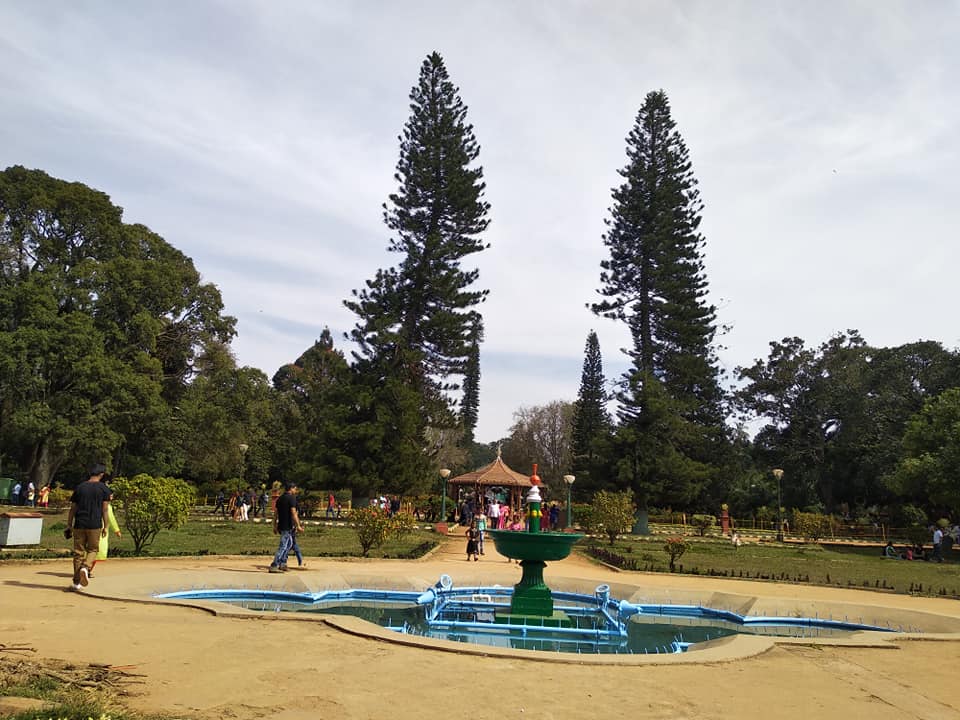 50751053_2455625504464785_494020074827415552_n