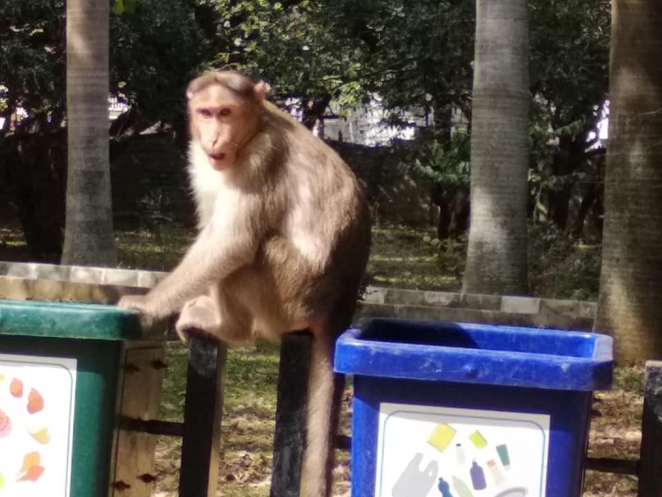 50771309_2455625541131448_7624449587654164480_n