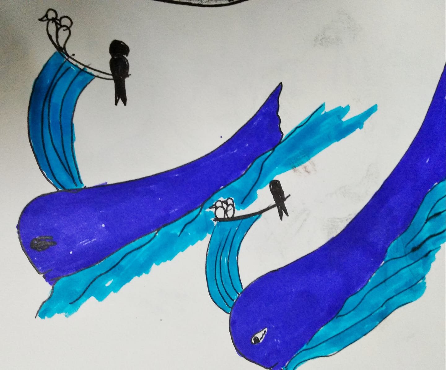 inktober day 12 whale