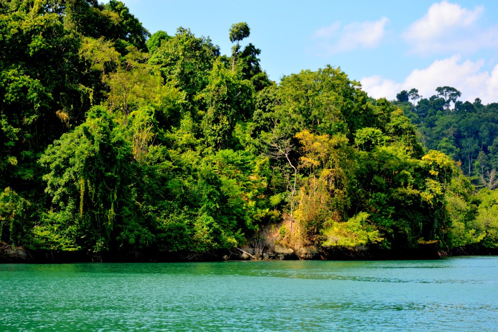 Nature Conservation & Plantables – Sustainable Choices That&nbsp;Matter