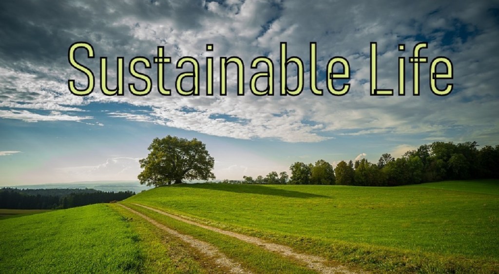 How To Achieve A Sustainable&nbsp;Lifestyle?